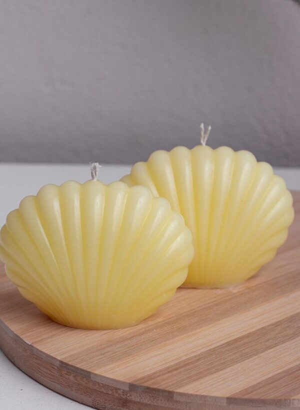 Coastal Bloom Shells Candles