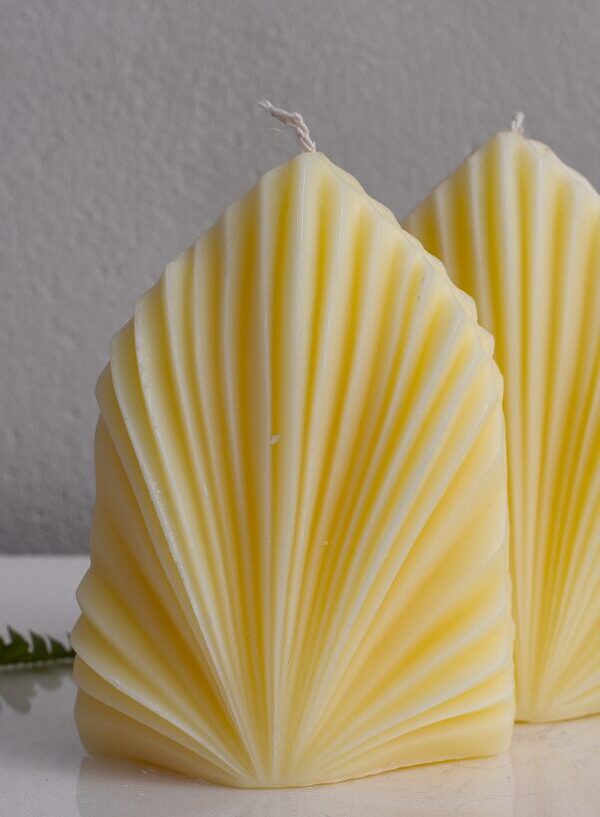 Palm Shell Elegance Candle